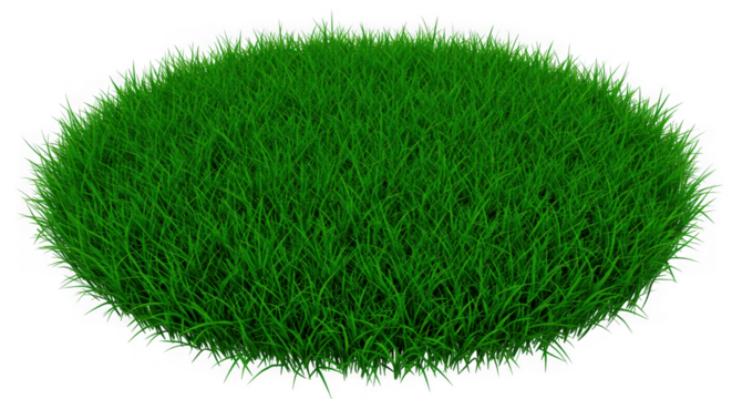 green grass on white background