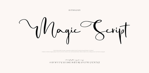 Signature Font Uppercase Lowercase And Number. Script Font Calligraphy Logotype  elegant Font Type Font lettering handwritten. vector illustration  
