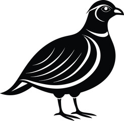 Quail bird silhouette, northern bobwhite bird, wild game vector, minimal avian drawing, nature wildlife illustration 