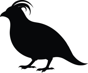 Quail bird silhouette, northern bobwhite bird, wild game vector, minimal avian drawing, nature wildlife illustration 