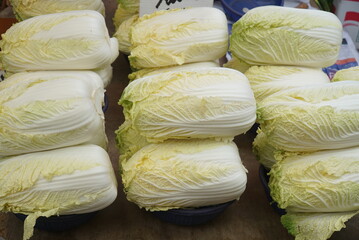 Medicinal stems resembling eggplant roots sold in a Korean traditional market