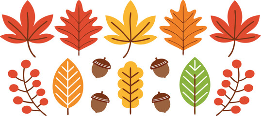 Fototapeta premium Autumn leaves and acorns collection orange