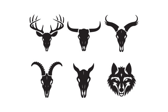 Collection of animal skulls and wolf head silhouette