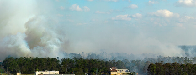 Aerial view of large wildfire burning severely in Florida jungle woods. Hot flames with dense smoke in tropical forest