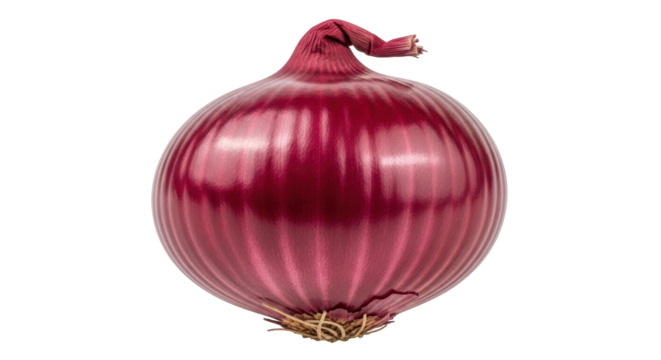 Isolated Purple Onion