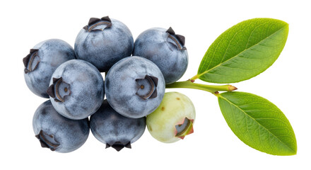 Isolated Group of Blueberries