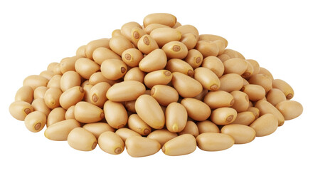 Isolated Pine Nuts
