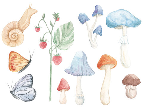 Vintage Forest Animals, Watercolor Forest Seamless Pattern, Digital Paper, Fabric Nursery Print, Woodland, Squirre, Mushrooms, Butterfly. Autumn seamless pattern. Decor. Print for fabric. Autumn.