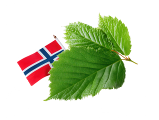 Norwegian Flag with Green Leaf: Nature and Country Symbol