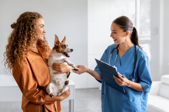 Dog held by its female owner during vet consultation, with friendly veterinarian taking notes, illustrating positive veterinary visit and pet care interaction