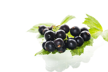 large blackcurrant berry isolated on white background