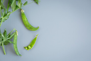 Peas in open pods as a symbol of summer harvest