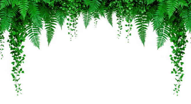 Lush green hanging ferns and vines create a natural archway isolated on transparent background