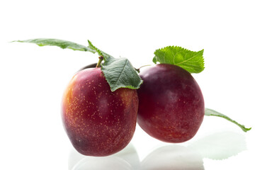 Three juicy plums with a blush close-up on a white background