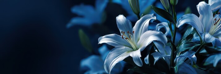 Elegant Lily Tribute. Respectful Funeral Service Background with Deep Blue Aesthetic for Condolences and Messages