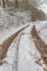 Snowstorm Denmark - winter 2024 Jutland
