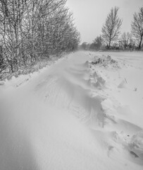 Snowstorm Denmark - winter 2024 Jutland