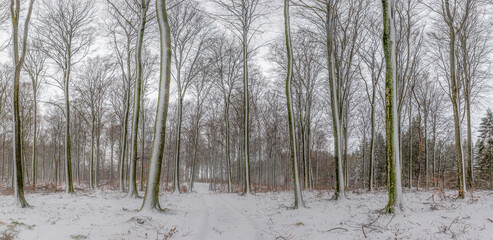 Snowstorm Denmark - winter 2024 Jutland