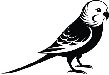 Obraz premium Budgerigar bird silhouette, parakeet line art, pet bird vector, minimal avian drawing, exotic animal illustration