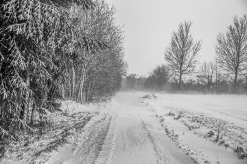 Snowstorm Denmark - winter 2024 Jutland