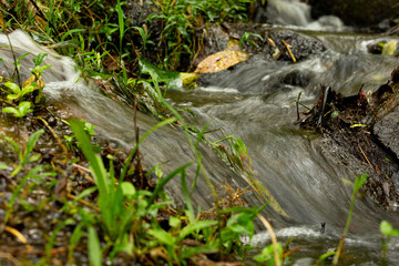 Cachoeira com fluxo de água entre grama e pedras. 