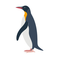 Fototapeta premium Penguins 