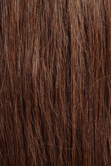 Naklejka premium brunette hair, brown long dull tangled hair with split ends, macro hair texture