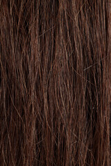 brunette hair, brown long dull tangled hair with split ends, macro hair texture
