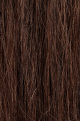 brunette hair, brown long dull tangled hair with split ends, macro hair texture