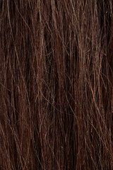 brunette hair, brown long dull tangled hair with split ends, macro hair texture