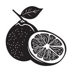 Detailed line art of whole and halved lemons with leaves in black ink. Vector retro hand drawn illustration