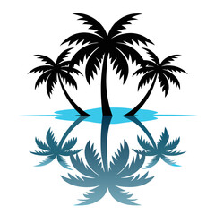 Palm tree silhouette reflections in water