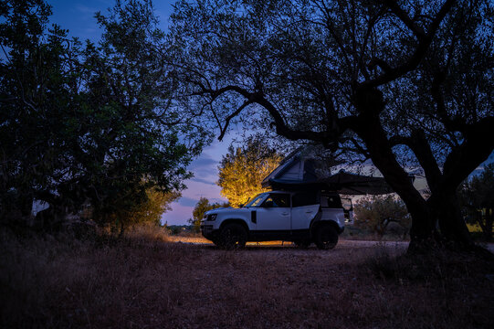 Off-Road Vehicle with Rooftop Tent Camping in Olive Grove at Night