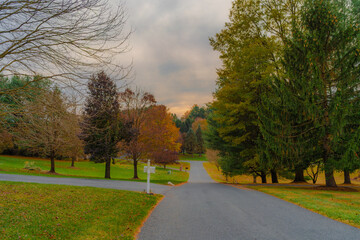 Autumn Road Serenity