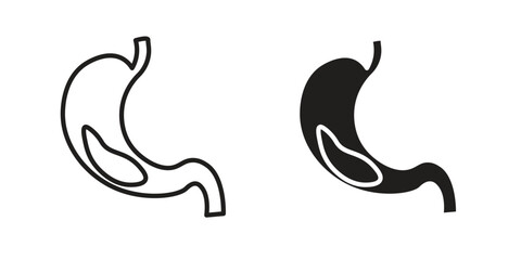 Stomach with Liquids icon in a black stroke vector design and flat solid version on white background