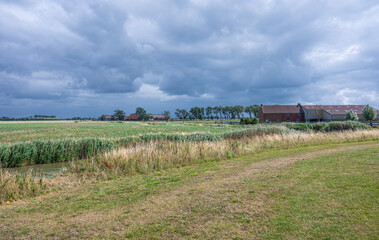 Nature fields in the Uitkerkse Polders reserve in Uitkerke, West Flanders, Belgium
