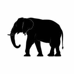 Fototapeta premium Majestic Elephant Silhouette A Symbol of Strength and Wildlife Conservation