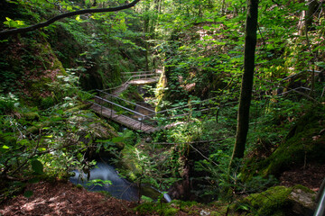 Obraz premium Bachlauf / Wasserfall im Schwarzwald