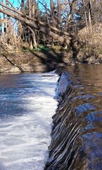 Wildlife. Mountain river. Thresholds of water sources. Transparent water. Movement of water in...