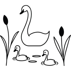 Elegant swan family swimming calmly across a pond