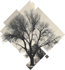 A stark tree silhouette framed by geometric shapes in a monochrome artistic composition with a neutral background