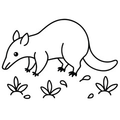 Shy anteater sniffing ground with tongue out