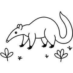 Shy anteater with tongue out sniffing the ground