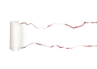 Torn paper edges rolled white isolated on a transparent background