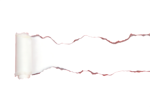 Torn paper edges rolled white isolated on a transparent background