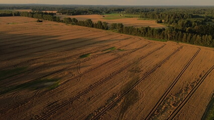 Obraz premium Drone Horizon: Aerial Sunset Over Wheat Fields Agroculture