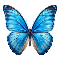 Striking Blue Butterfly with Removed Background