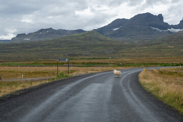 road in the mountains