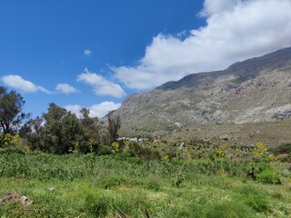 Scenic Field with Mountains and Clouds