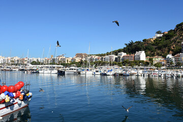 Fototapete bei efototapeten.de bestellen   